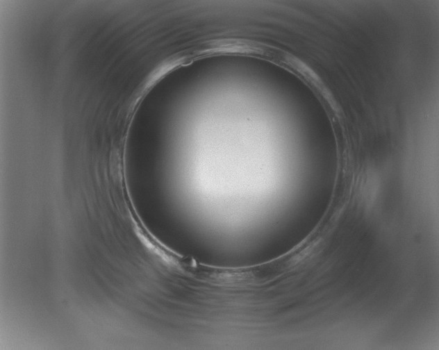 X0000080171433200612151911