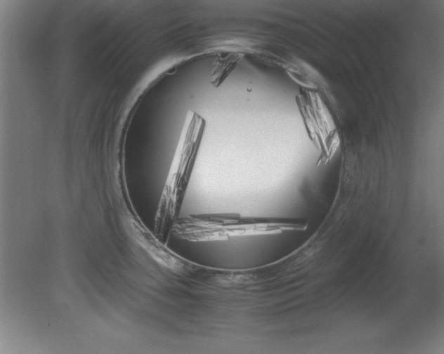 X0000080171435200612151911