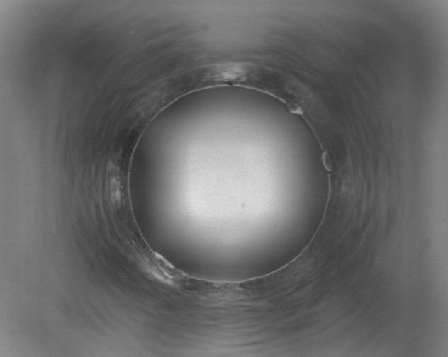 X0000080171442200612151910