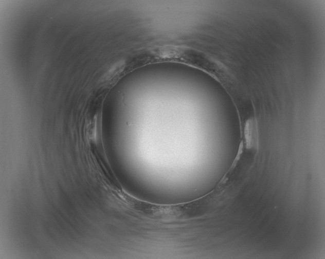 X0000080171443200612151910
