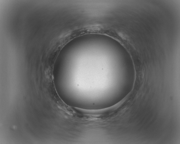 X0000080171445200612151910