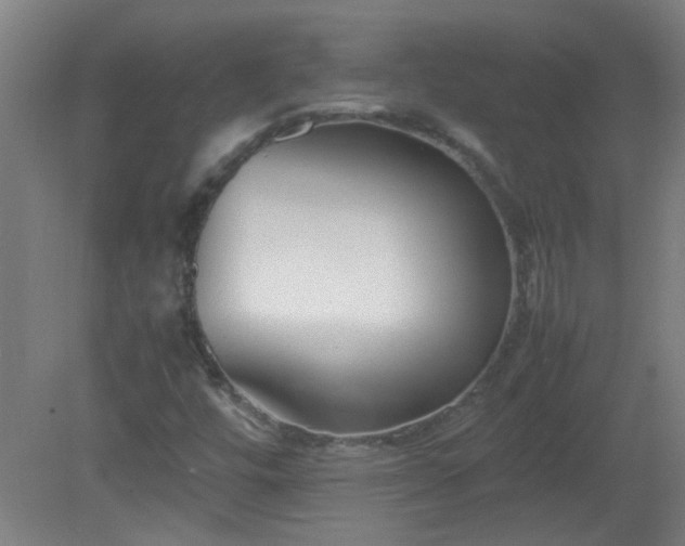 X0000080171448200612151910
