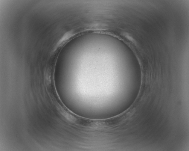 X0000080171451200612151910