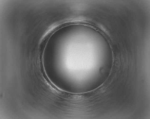 X0000080171456200612151910