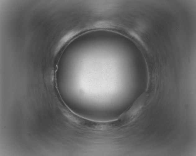 X0000080171461200612151910