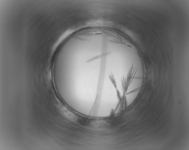 X0000080171462200612151910