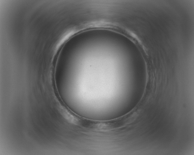 X0000080171463200612151910