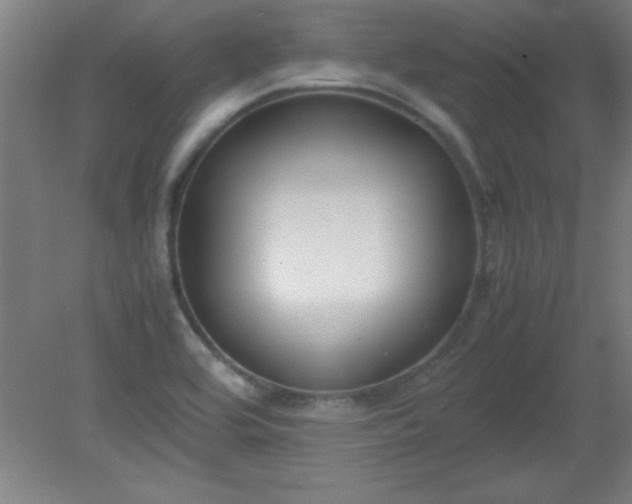 X0000080171464200612151910