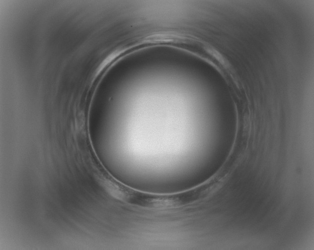 X0000080171465200612151910