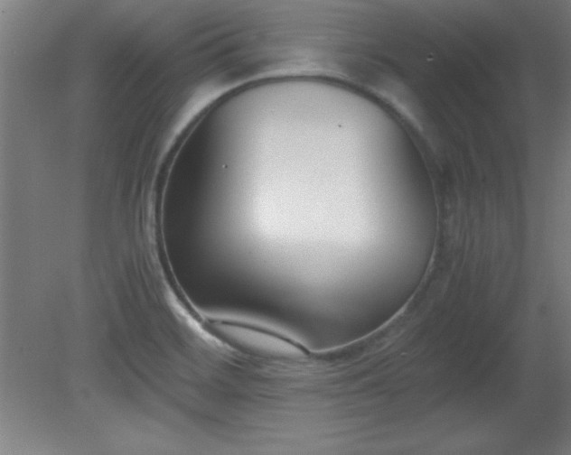 X0000080171468200612151910