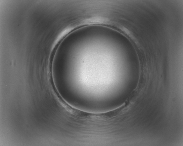 X0000080171469200612151910
