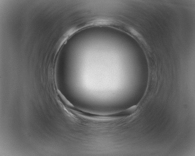 X0000080171473200612151910