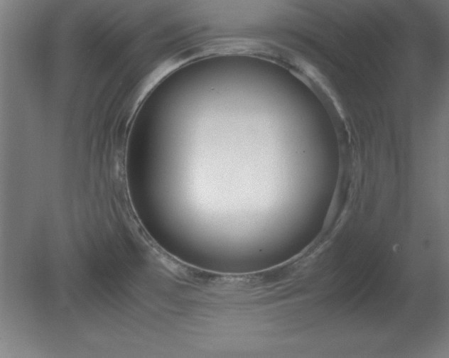 X0000080171481200612151910