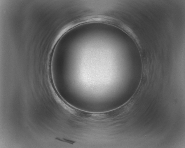 X0000080171483200612151909