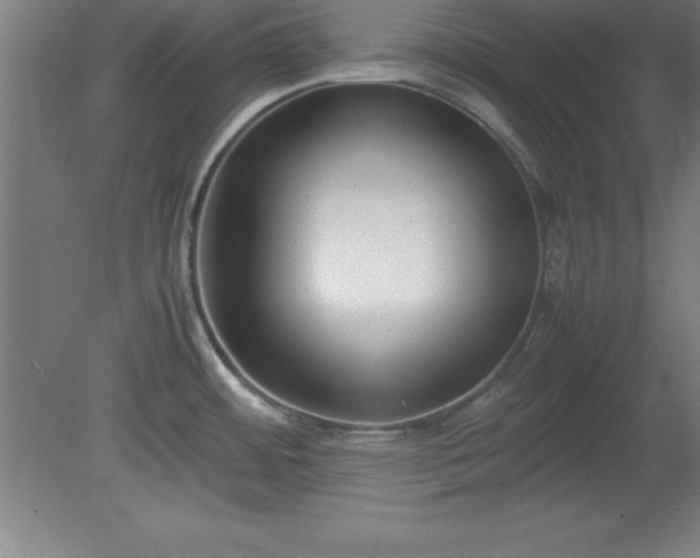 X0000080171484200612151909