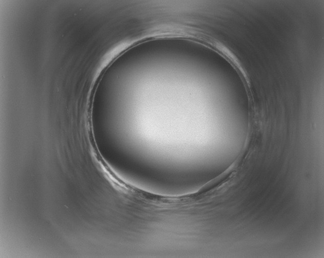 X0000080171485200612151909