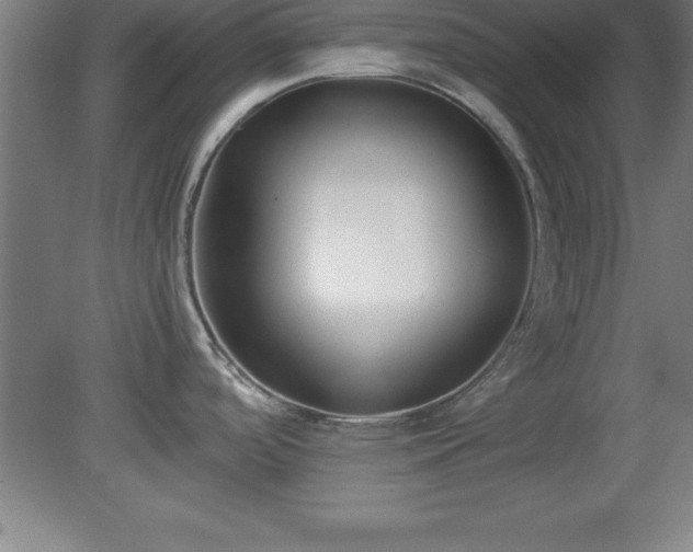 X0000080171488200612151909