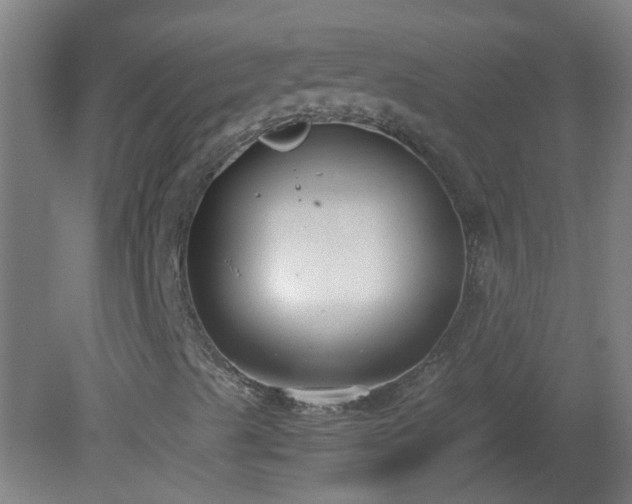X0000080171489200612151909