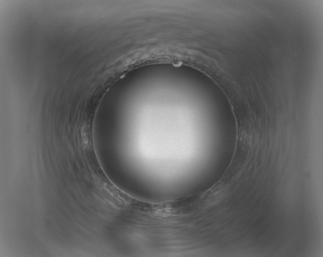 X0000080171490200612151909