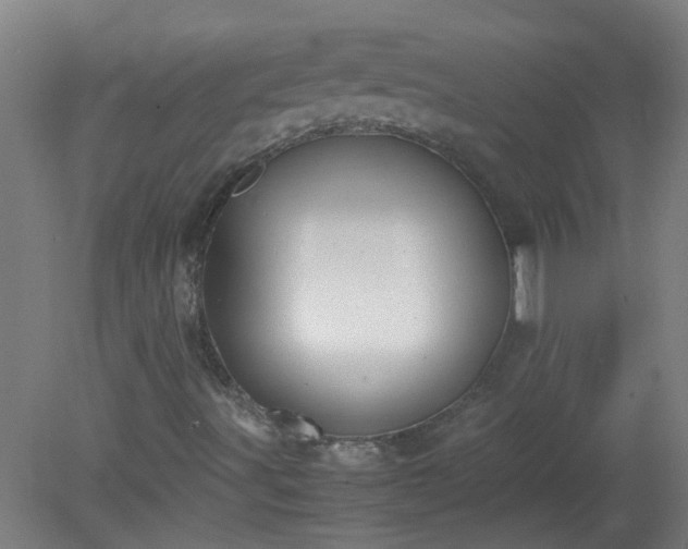 X0000080171491200612151909