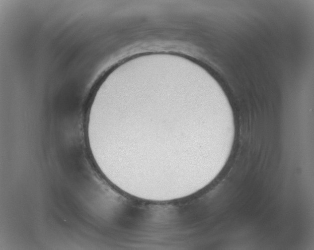 X0000080171498200612151909