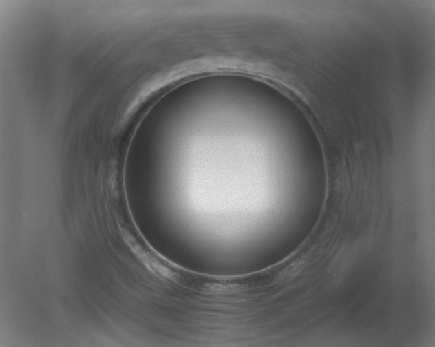 X0000080171499200612151909