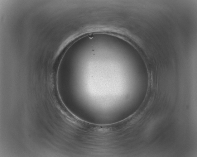 X0000080171501200612151909