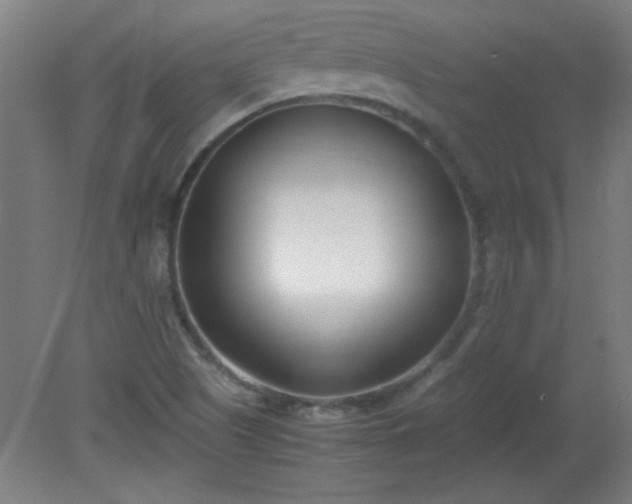X0000080171505200612151909