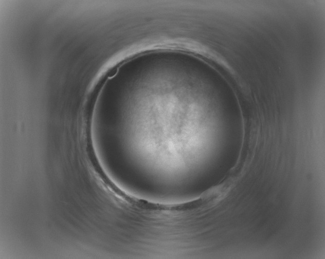 X0000080171506200612151909