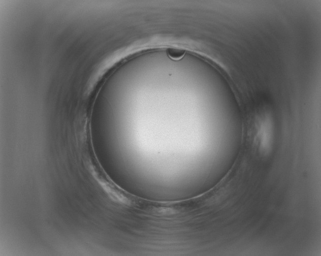 X0000080171507200612151909