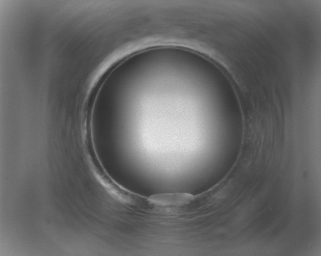 X0000080171511200612151909
