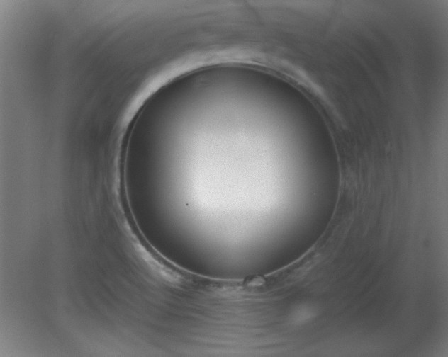 X0000080171512200612151909