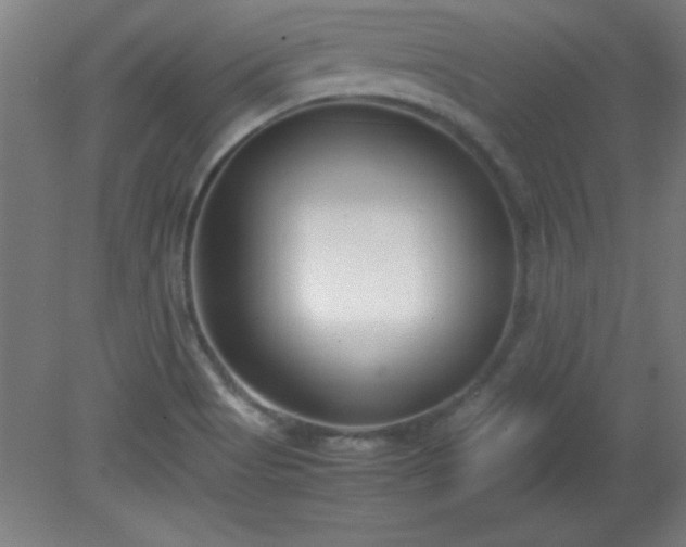 X0000080171513200612151909