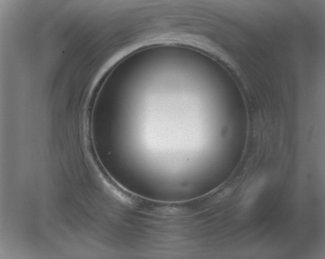 X0000080171517200612151909