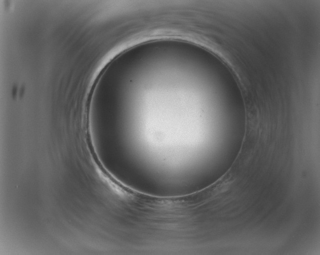 X0000080171527200612151909