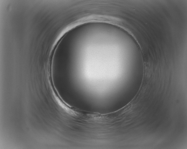 X0000080171531200612151909
