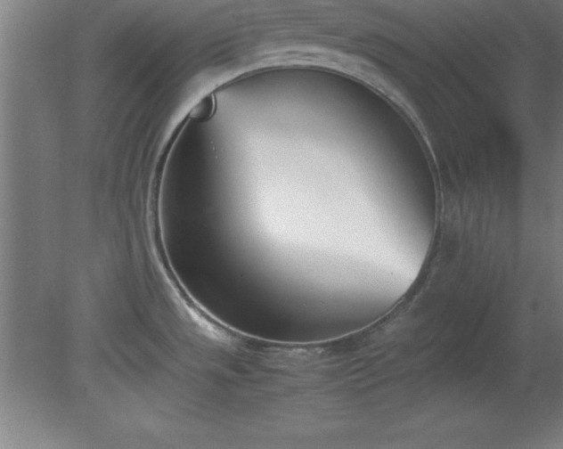X0000080171533200612151909