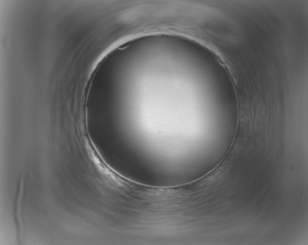 X0000080171534200612151909