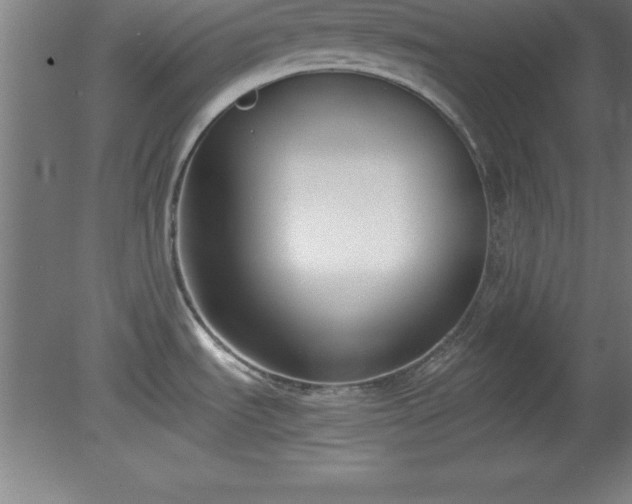 X0000080171535200612151909