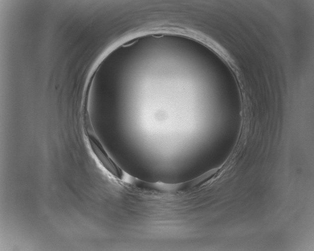X0000080171536200612151909