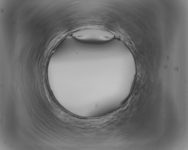 X0000080170001200612221302