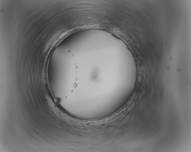 X0000080170002200612221302