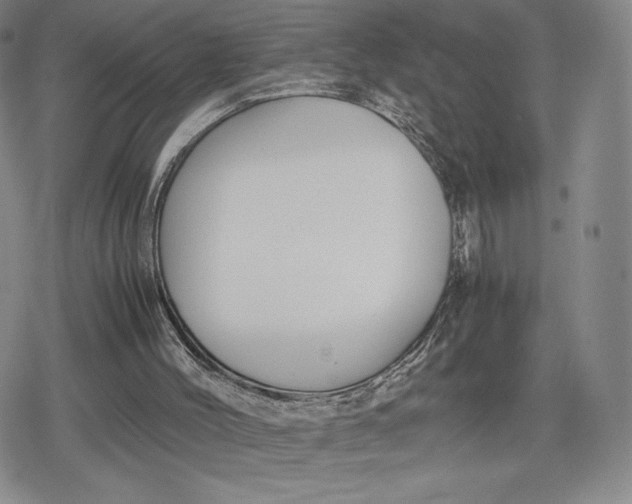 X0000080170004200612221302