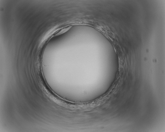 X0000080170005200612221302