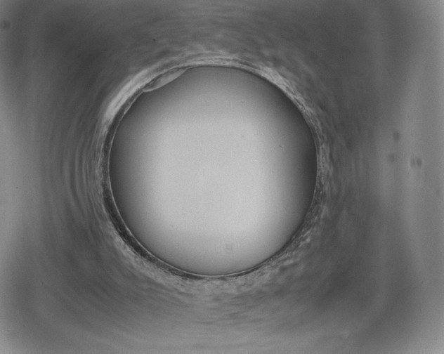 X0000080170007200612221302