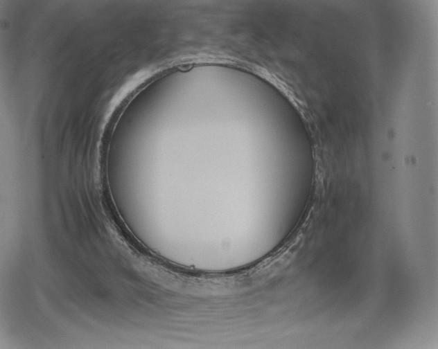 X0000080170008200612221302