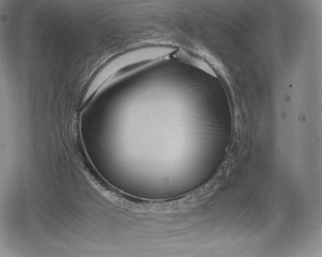 X0000080170009200612221302