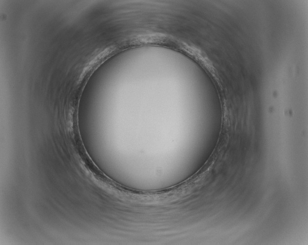 X0000080170010200612221302