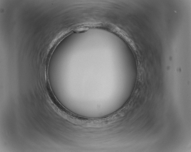 X0000080170011200612221302