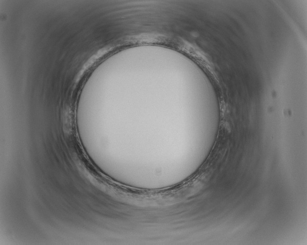 X0000080170012200612221302